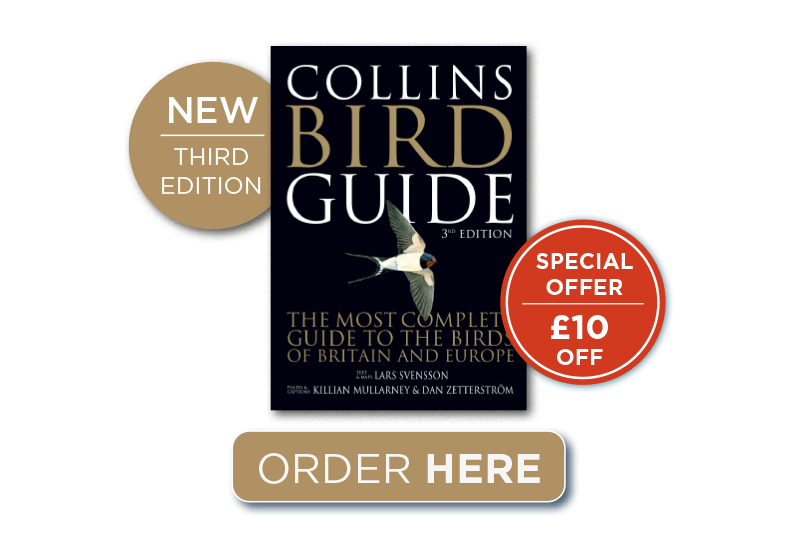 Collins Bird Guide (New Edition)