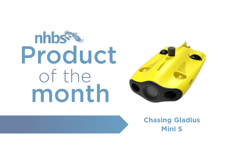 Product of the Month