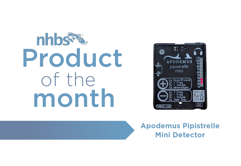 Product of the Month