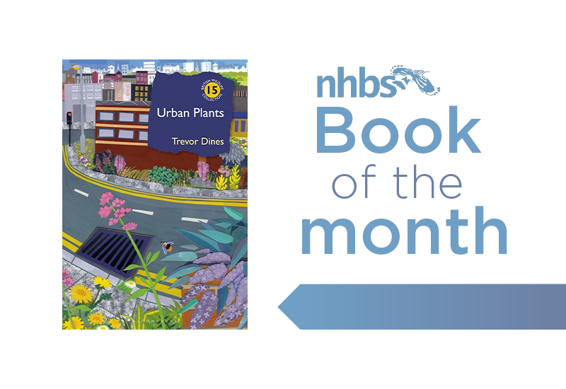 Book of the Month