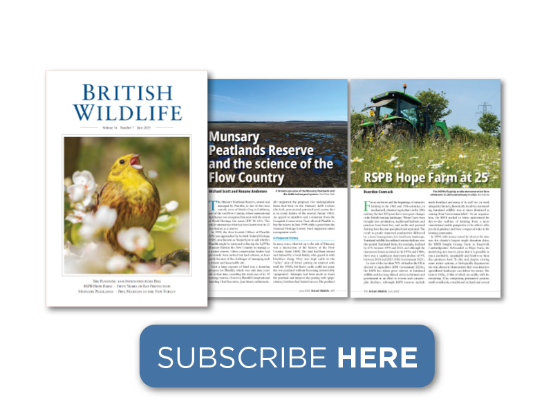 British Wildlife Magazine