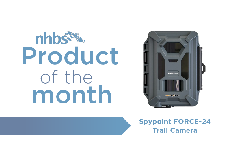 Product of the Month