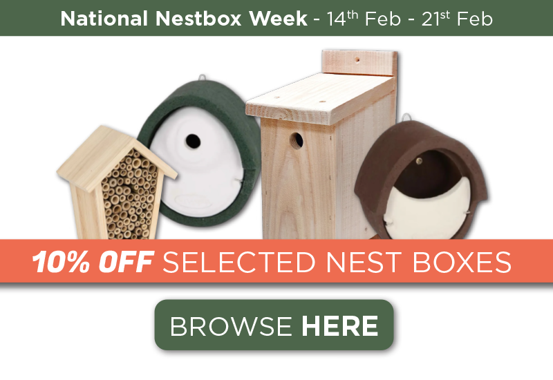 Nest Box Week Promotion