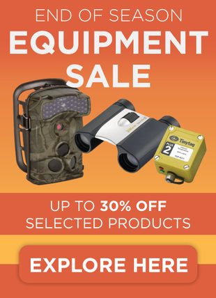Clearance Sale