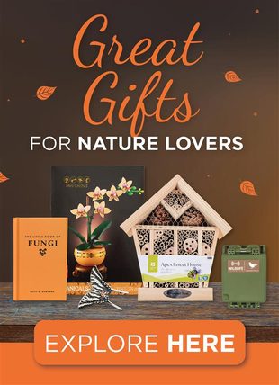 Great Gifts
