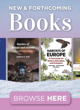 New and Forthcoming Books