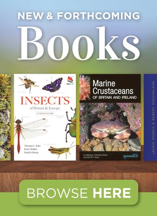 New and Forthcoming Books