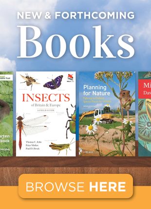 New and Forthcoming Books