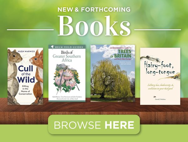 New & Forthcoming Books