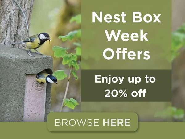 National Nest Box Week 2025