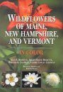 Wildflowers of Maine, New Hampshire, and Vermont