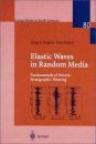 Elastic Waves in Random Media