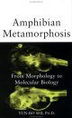 Amphibian Metamorphosis