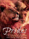 Prides: The Lions of Moremi