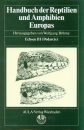 Handbuch der Reptilien und Amphibien Europas, Band 2/II: Echsen (Sauria) III