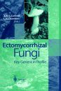 Ectomycorrhizal Fungi