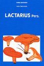 Fungi Europaei, Volume 7: Lactarius Pers. [Italian]