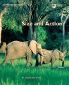 Size and Action