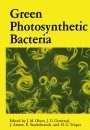 Green Photosynthetic Bacteria