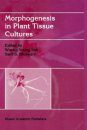 Morphogenesis in Plant Tissue Cultures