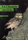 La Chouette Chevêche [The Little Owl]