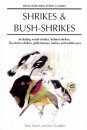 Shrikes and Bush-Shrikes