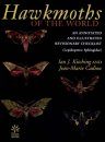 Hawkmoths of the World