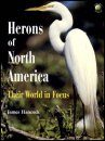 Herons of North America
