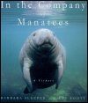 In the Company of Manatees
