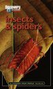 Discovery Explore Your World Handbook to Insects and Spiders