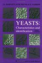 Yeasts: Characteristics and Identification