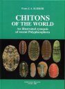 Chitons of the World