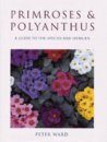 Primroses and Polyanthus