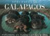 Spectacular Galapagos
