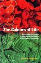 Colours of Life: Introduction to the Chemistry of Porphyrins and Related Compounds