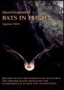 Identification of Bats in Flight