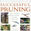 Successful Pruning