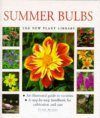 Summer Bulbs