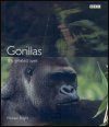 Gorillas: The Greatest Apes