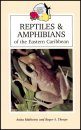 Reptiles & Amphibians of the Eastern Caribbean