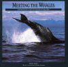 Meeting the Whales