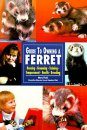The Guide to Owning a Ferret