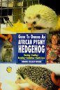 Guide to Owning an African Pigmy Hedgehog