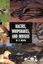 Racers, Whipsnakes and Indigos