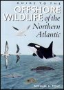 Guide to the Offshore Wildlife of the Northern Atlantic