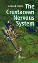 The Crustacean Nervous System
