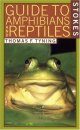 Stokes Guide to Amphibians and Reptiles