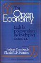 Open Economy: Tools for Policymakers in Developing Countries