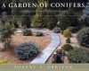 A Garden of Conifers