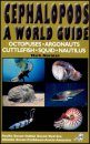 Cephalopods: A World Guide